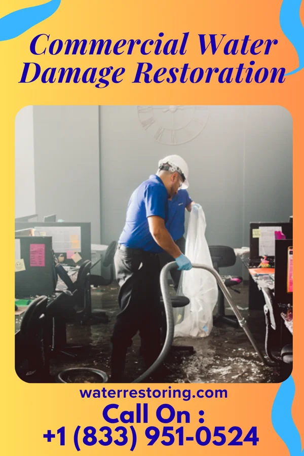 Commercial Water Damage Restoration in Amargosa, TX