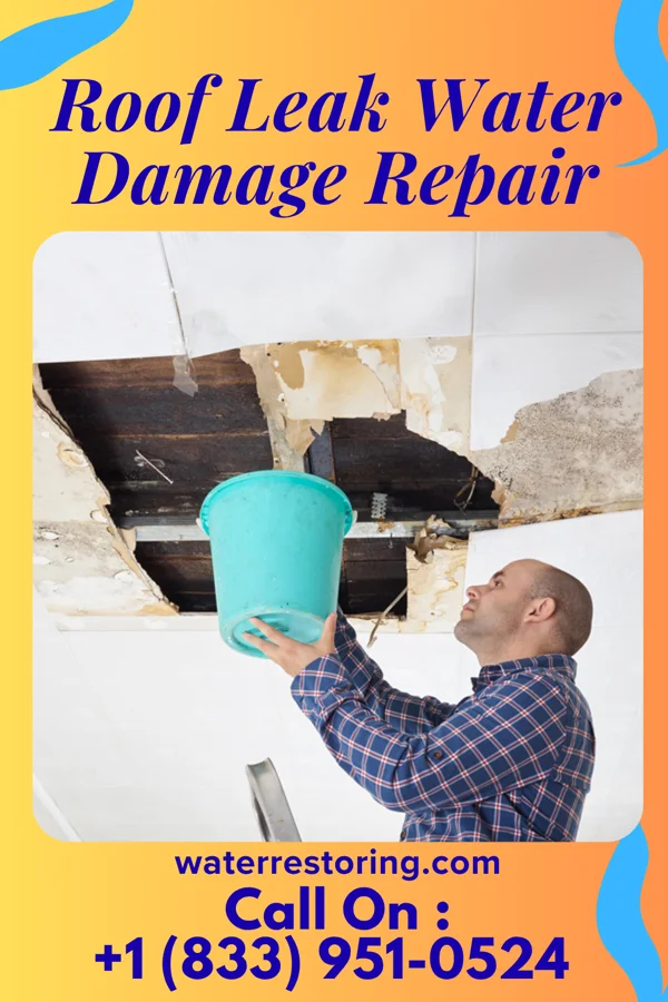 Roof Leak Water Damage Repair in Amargosa, TX