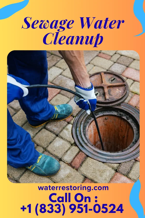 Sewage Water Cleanup in Amargosa, TX